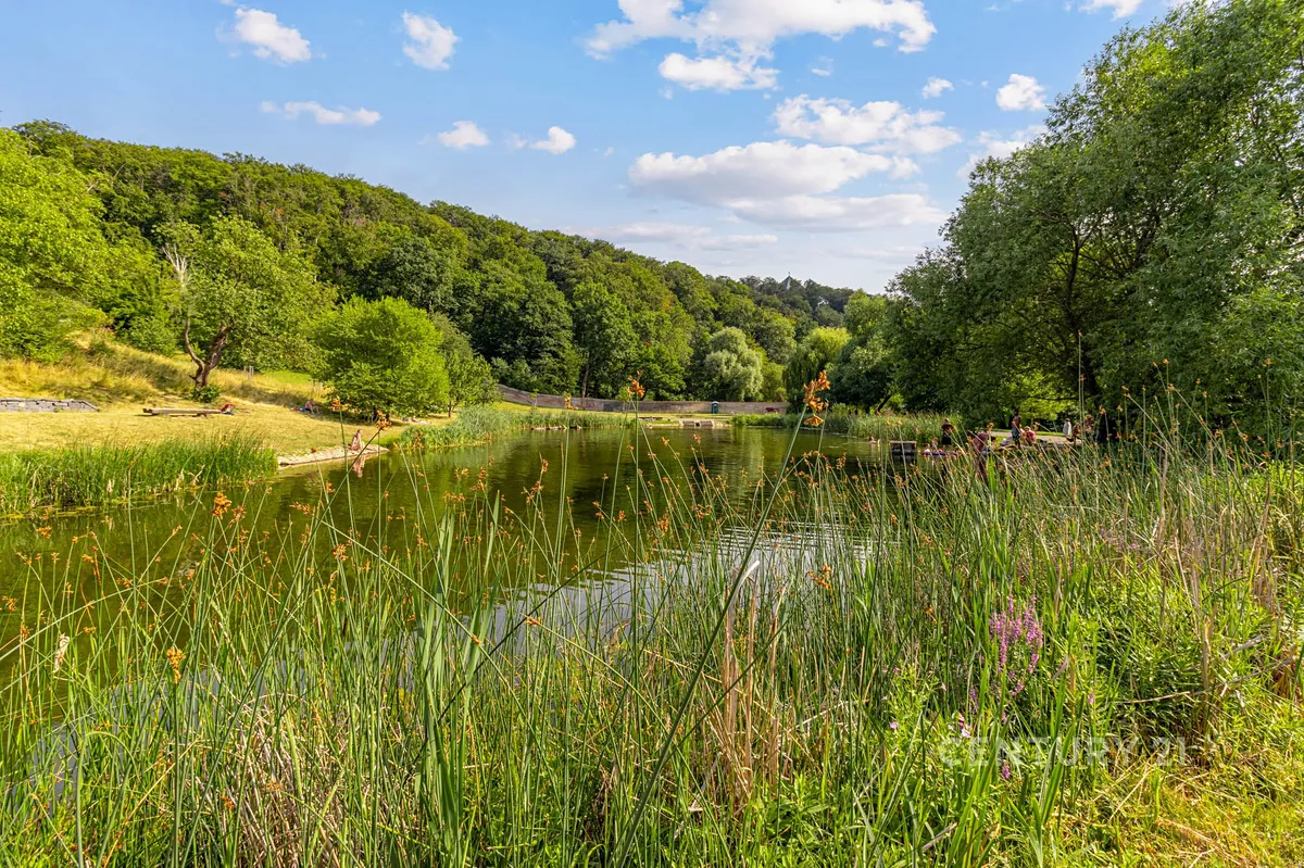 Fotka 27 z 28
