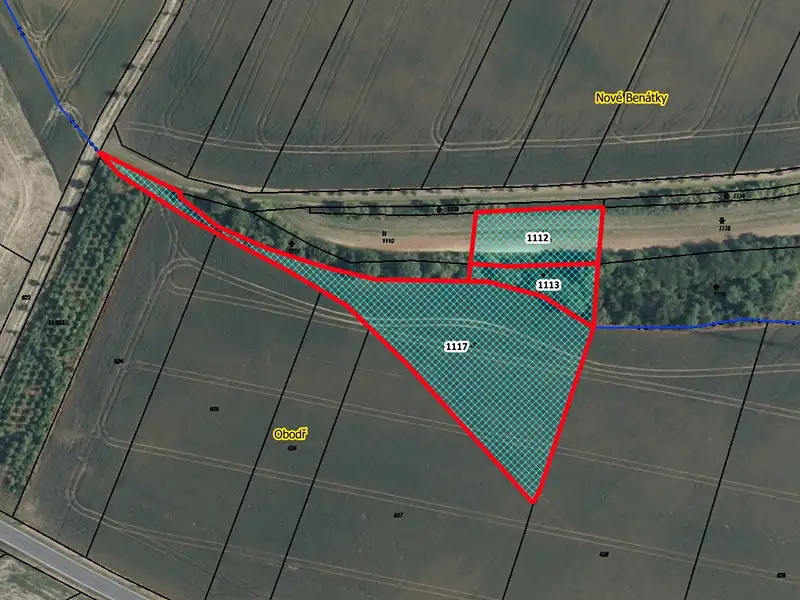 Prodej pozemku 5957 m², Benátky nad Jizerou – náhled fotky 1