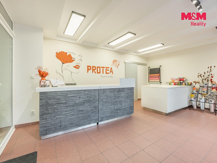 Комерційне приміщення в оренду, 48 м² (6 з 15)