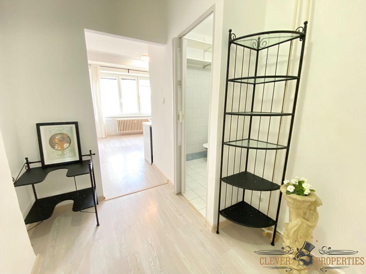 Pronájem bytu 1+kk 25 m² – fotografie 3