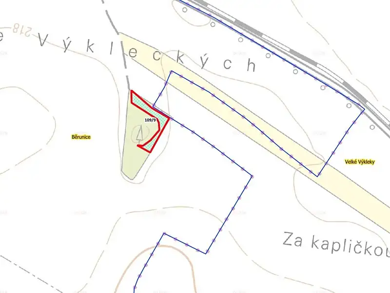 Prodej lesa 1361 m², Běrunice – náhled fotky 3