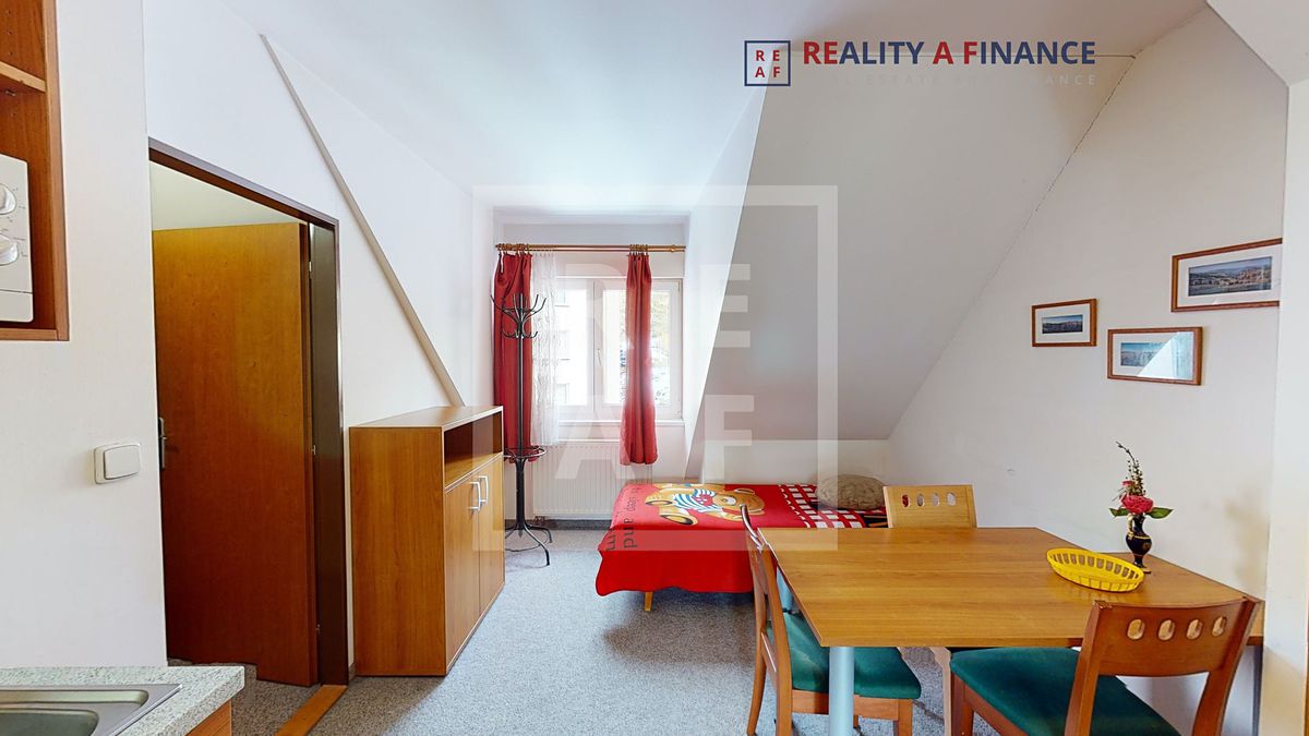 Prodej ubytovacího zařízení 441 m² – fotografie 4