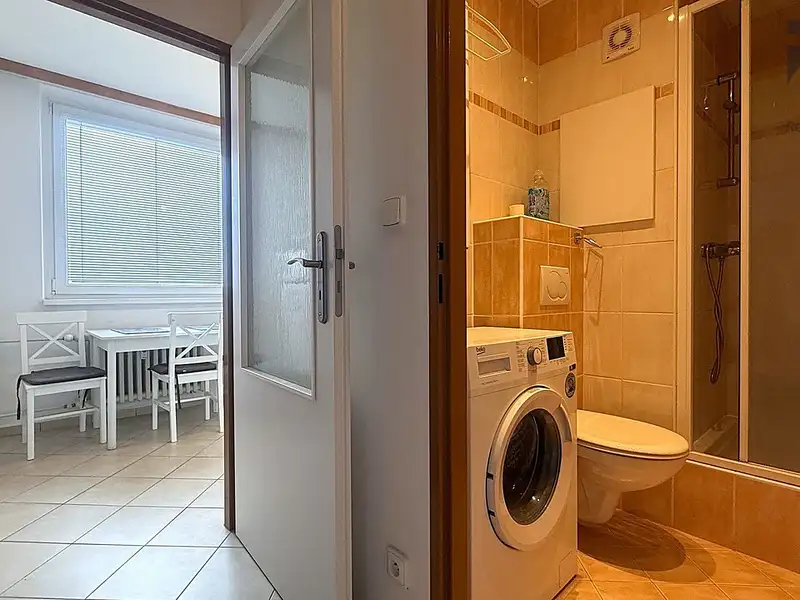 Pronájem bytu 1+1 32 m², Jihlava – náhled fotky 2
