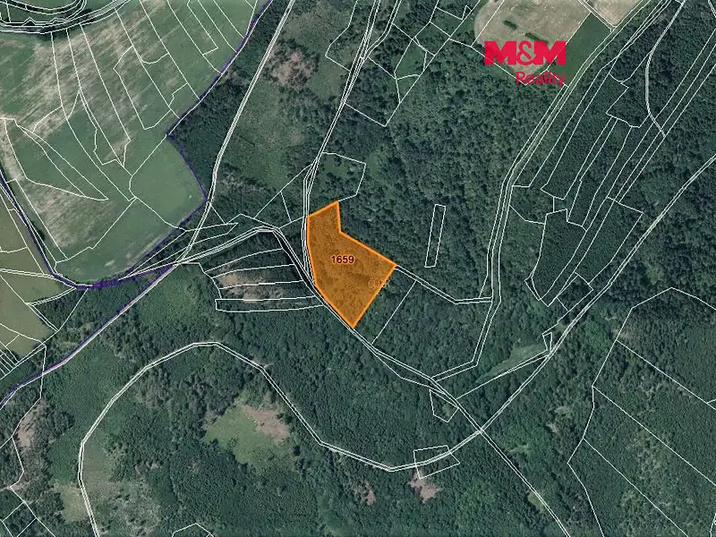 Prodej louky 16367 m², Poleň – náhled fotky 1
