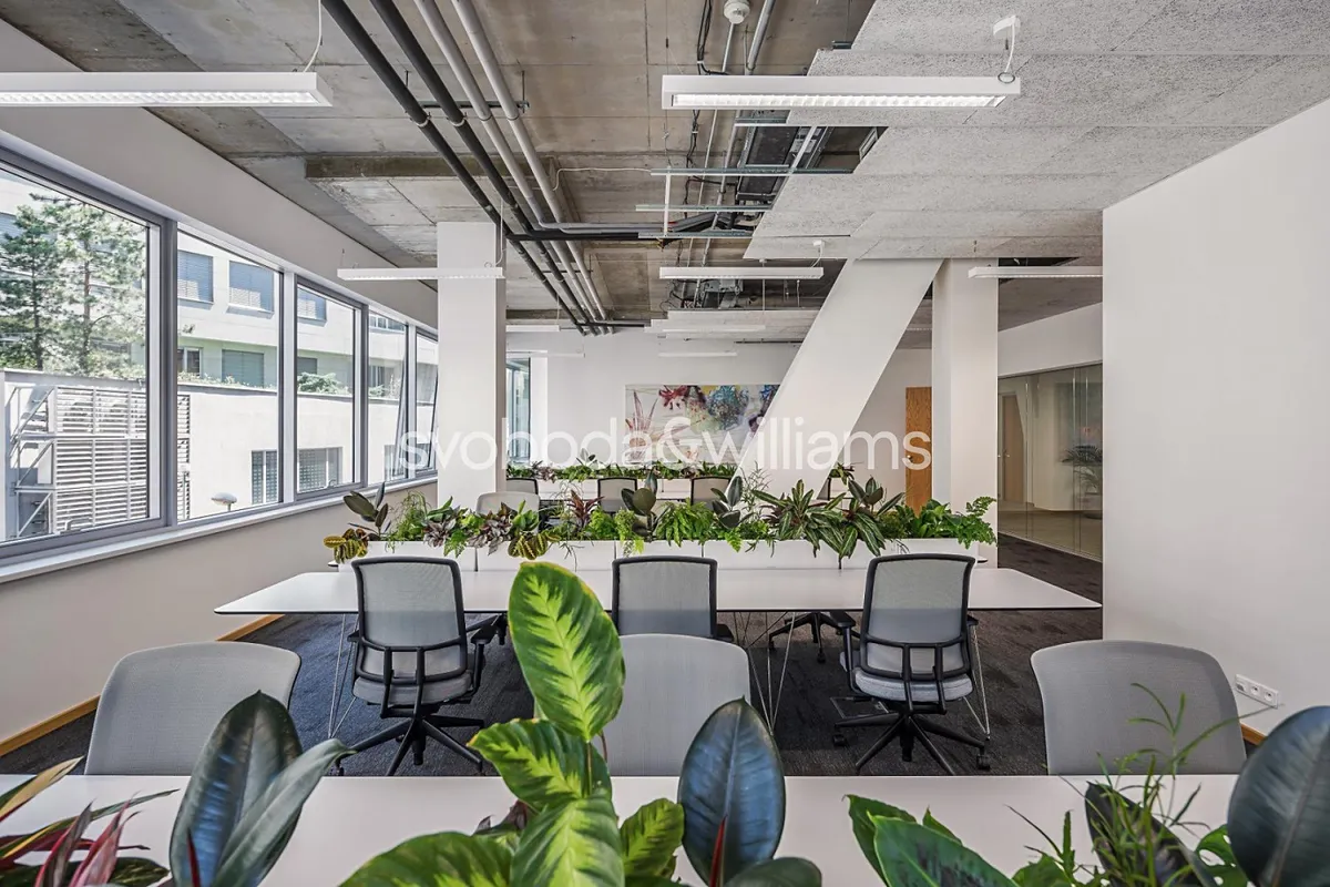 Pronájem kanceláře 162 m²