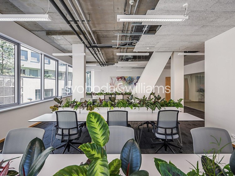 Pronájem komerčního prostoru, 162 m² (1 z 16)