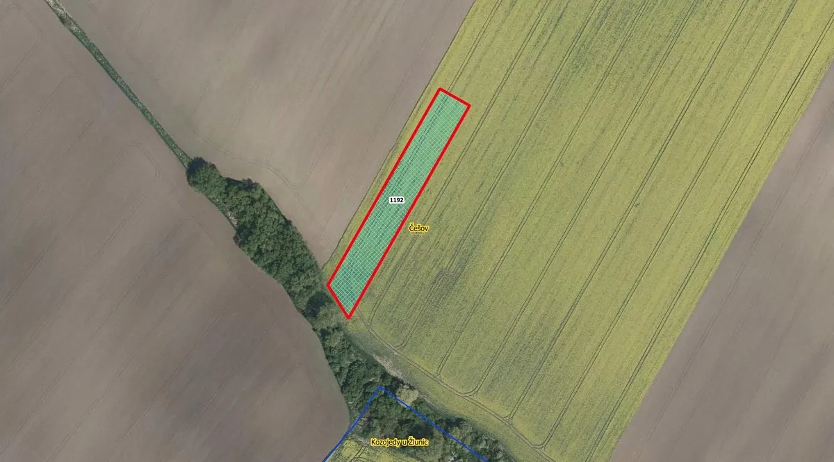 Prodej pole 4305 m²