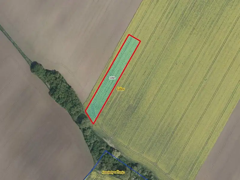 Prodej pole 4305 m², Češov – náhled fotky 1