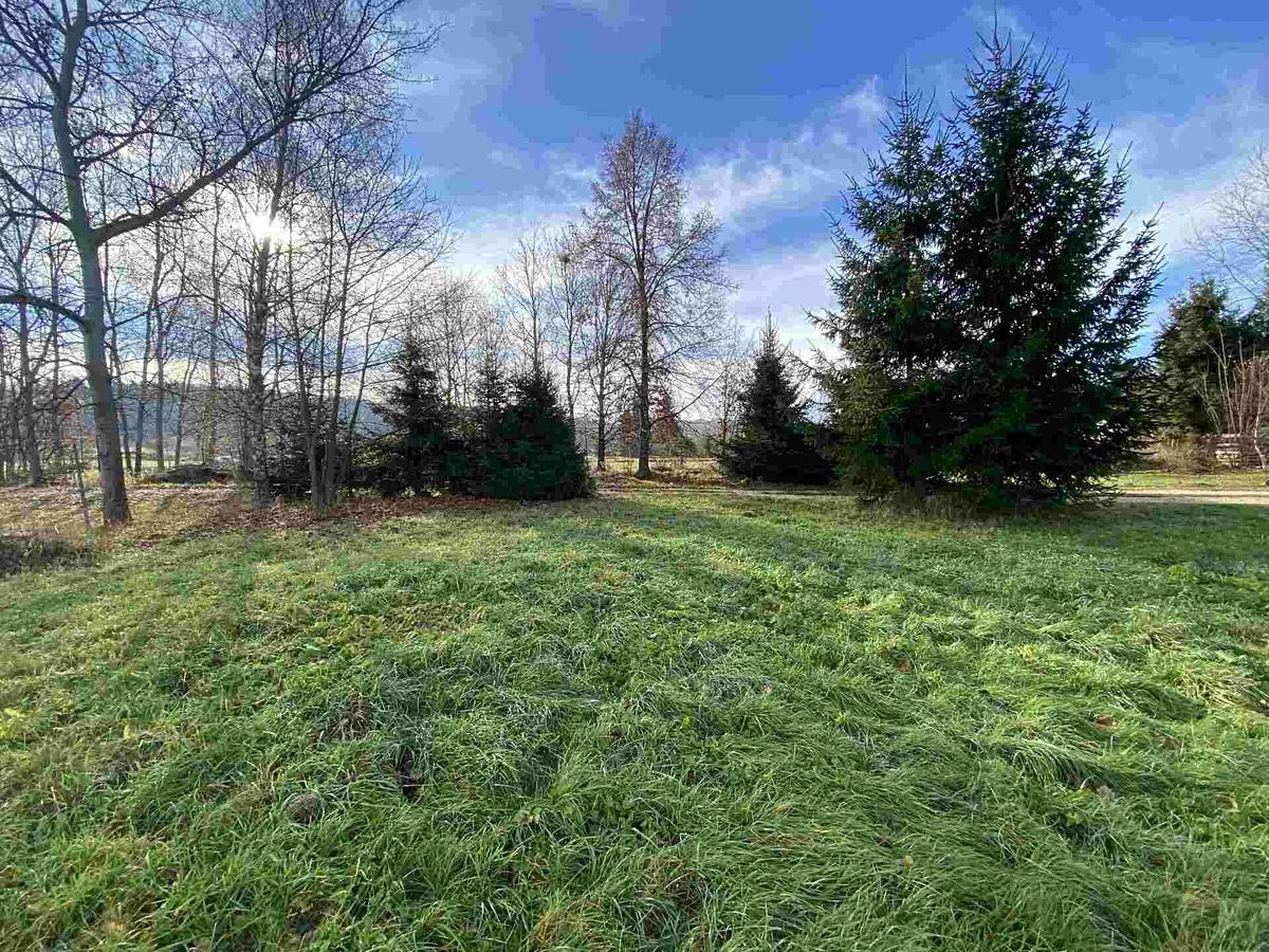 Prodej stavebního pozemku 3703 m² – fotografie 2