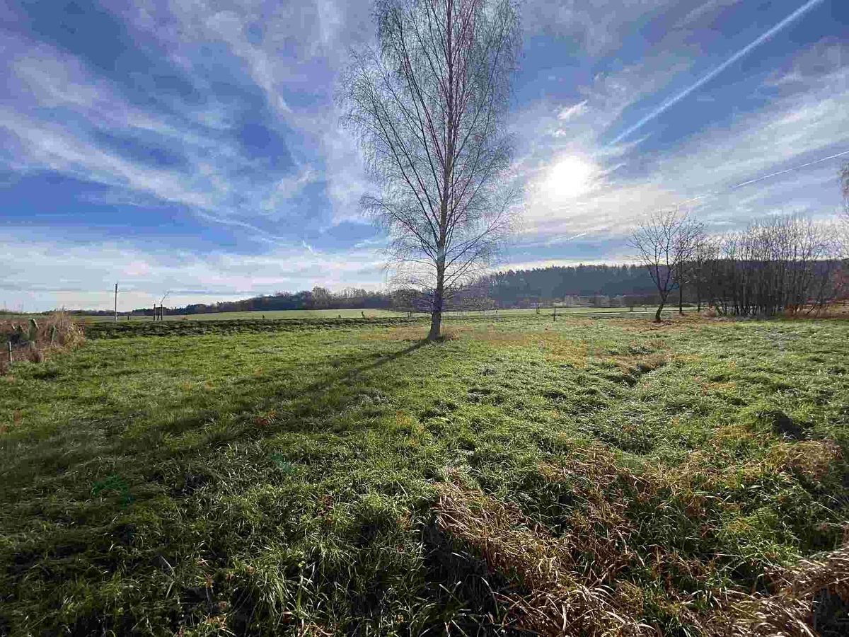 Prodej stavebního pozemku 3703 m² – fotografie 4