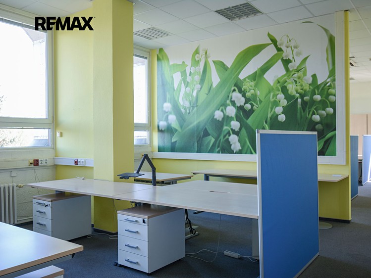 Gewerbefläche zur Miete, 315 m² (13 von 21)