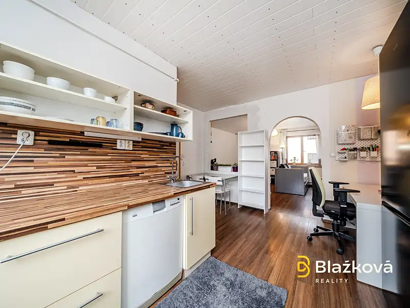 Prodej bytu 1+1 45 m², Frýdek-Místek – náhled fotky 3