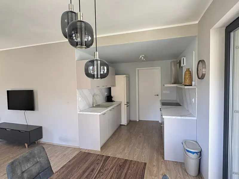 Pronájem bytu 2+kk 57 m², Brno – náhled fotky 3