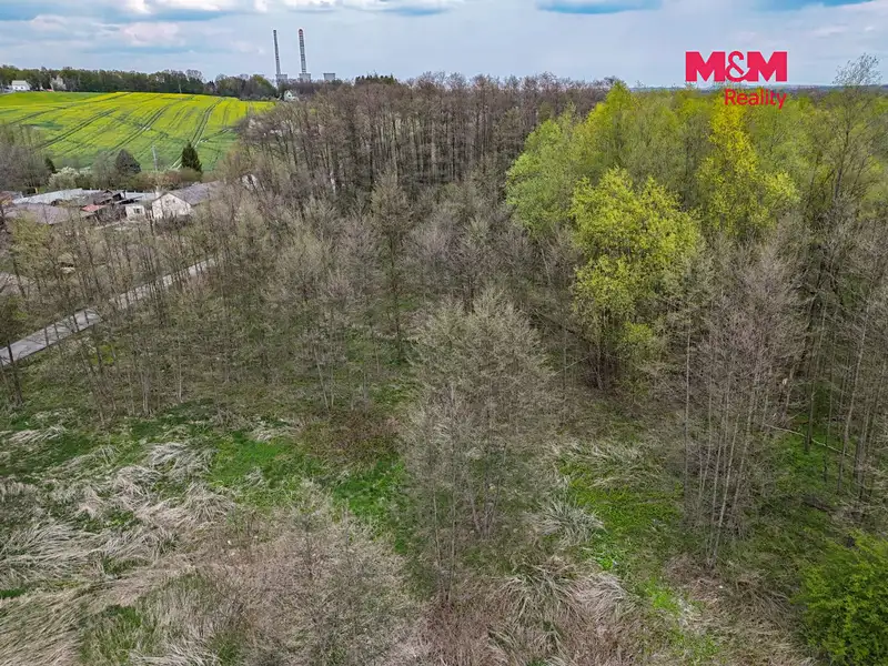 Prodej pole 4130 m², Dětmarovice – náhled fotky 3