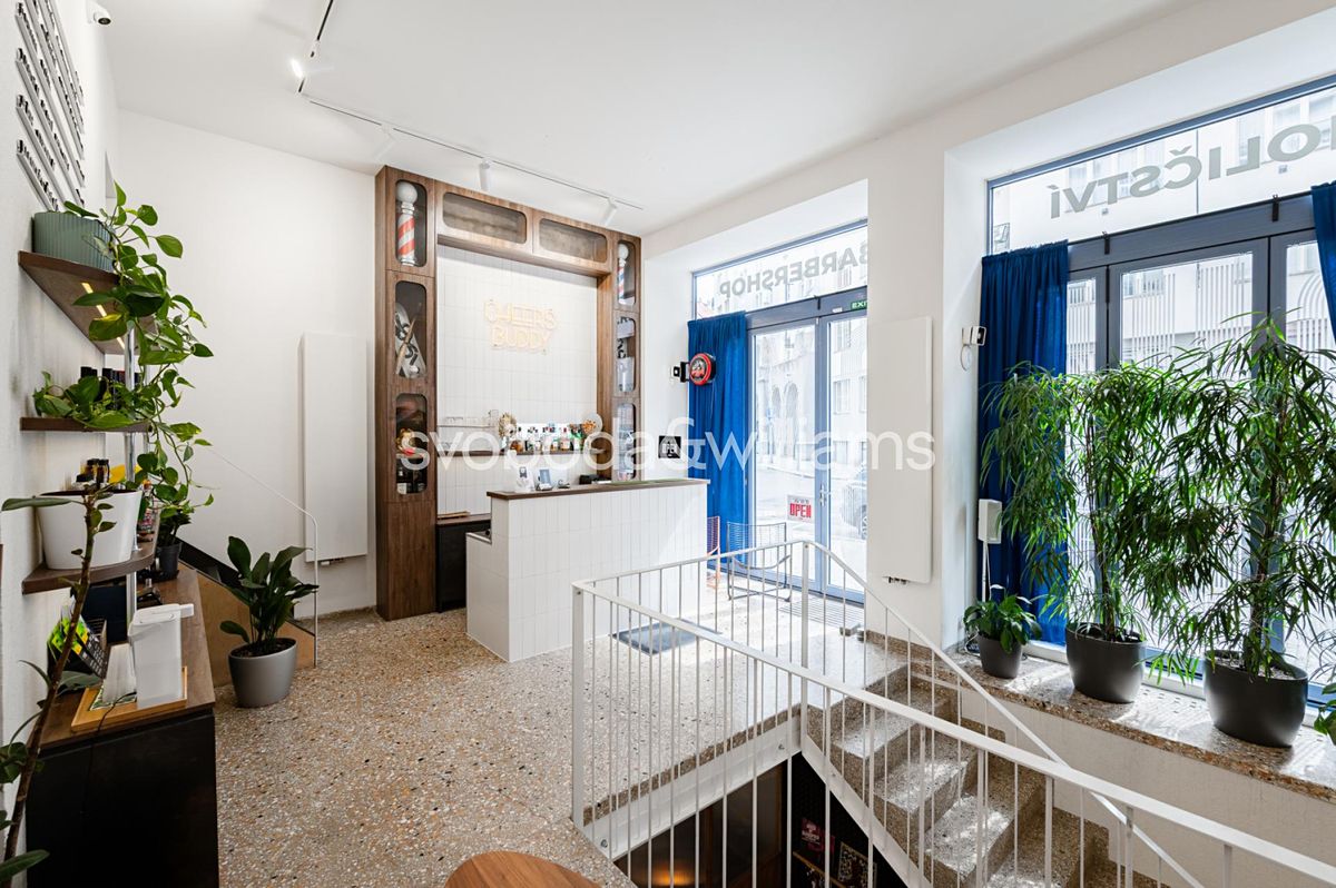 Prodej obchodního prostoru 156 m²