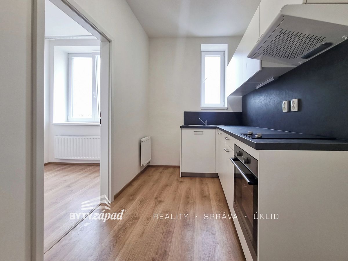Pronájem bytu 1+1 41 m² – fotografie 4