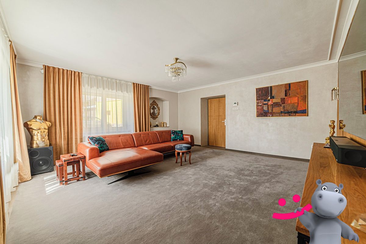Prodej rodinného domu 376 m², pozemek 5245 m² – fotografie 3
