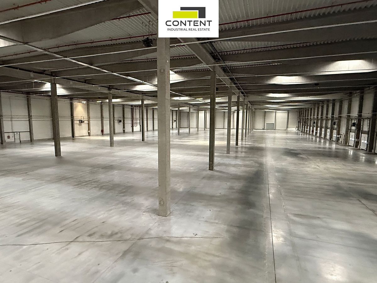 Pronájem skladového prostoru 10000 m² – fotografie 3