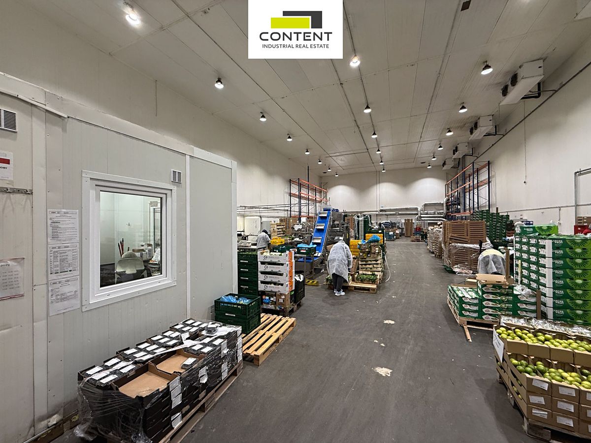 Pronájem skladového prostoru 4712 m² – fotografie 4