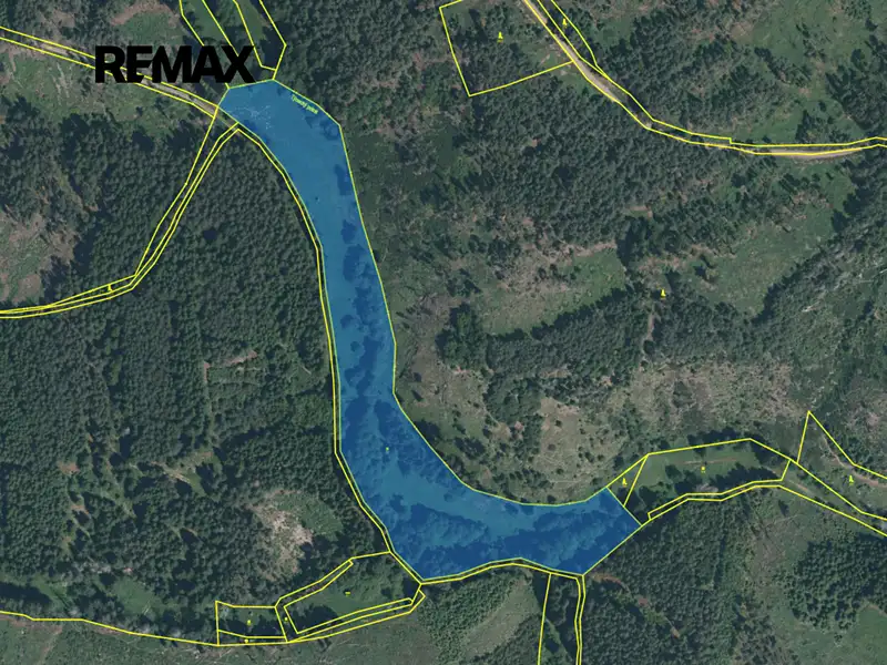 Prodej pole 26743 m², Planá – náhled fotky 3