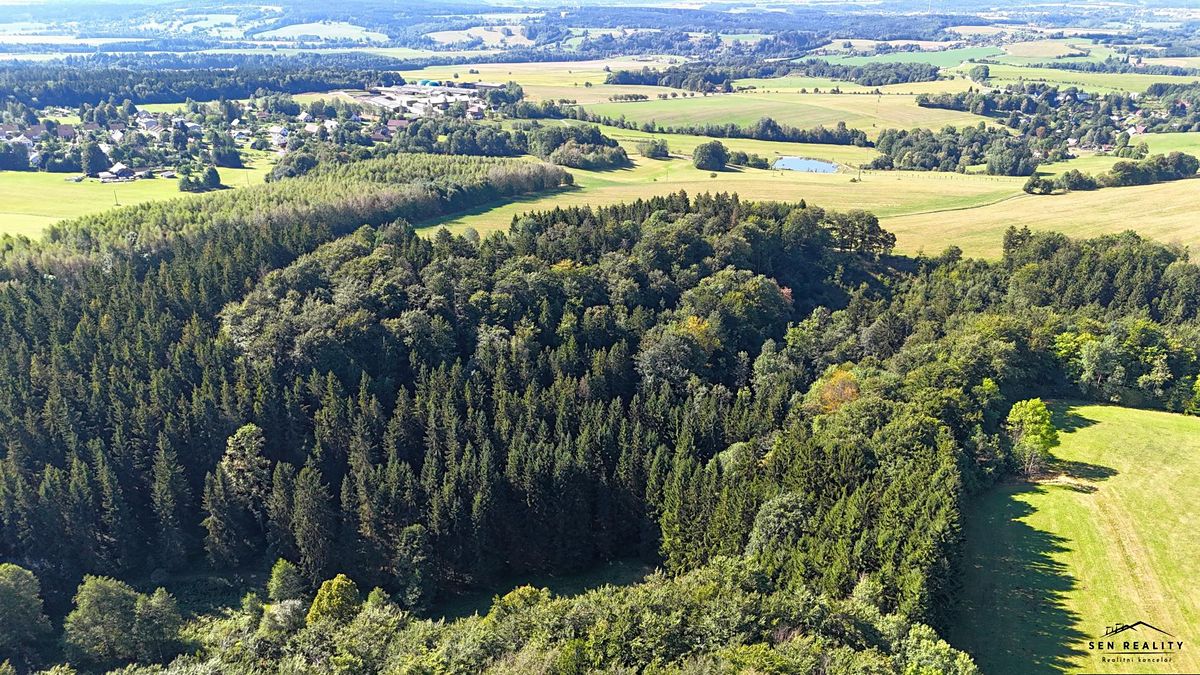 Prodej lesa 9005 m² – fotografie 3