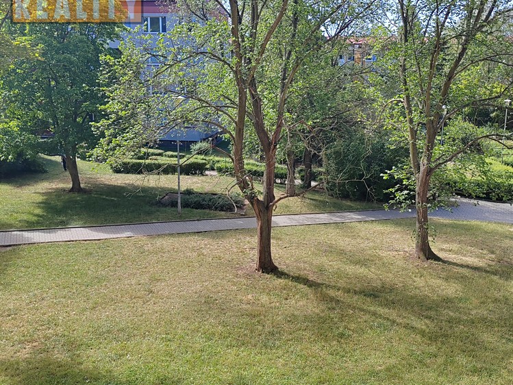 Pronájem bytu 2+1, 53 m² (27 z 28)