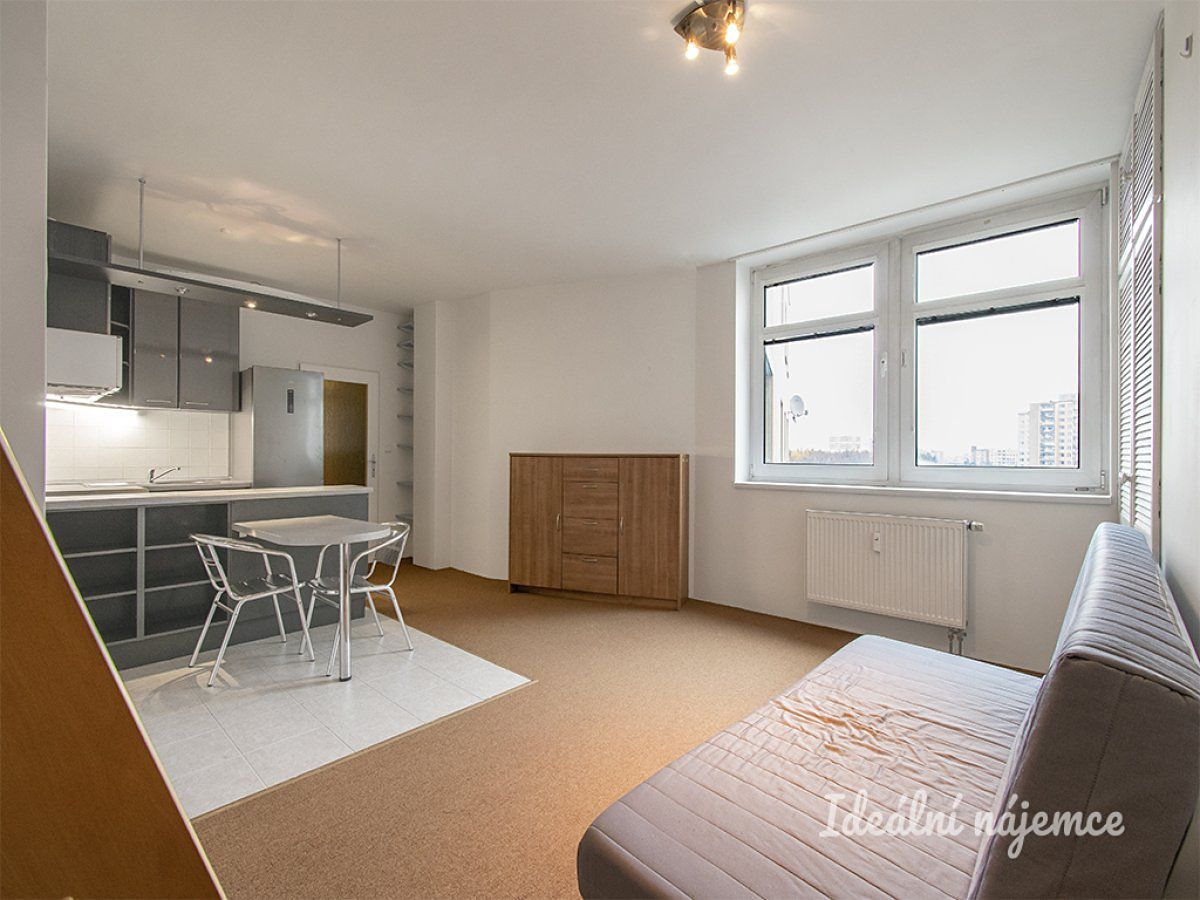 Pronájem bytu 1+kk 41 m² – fotografie 2