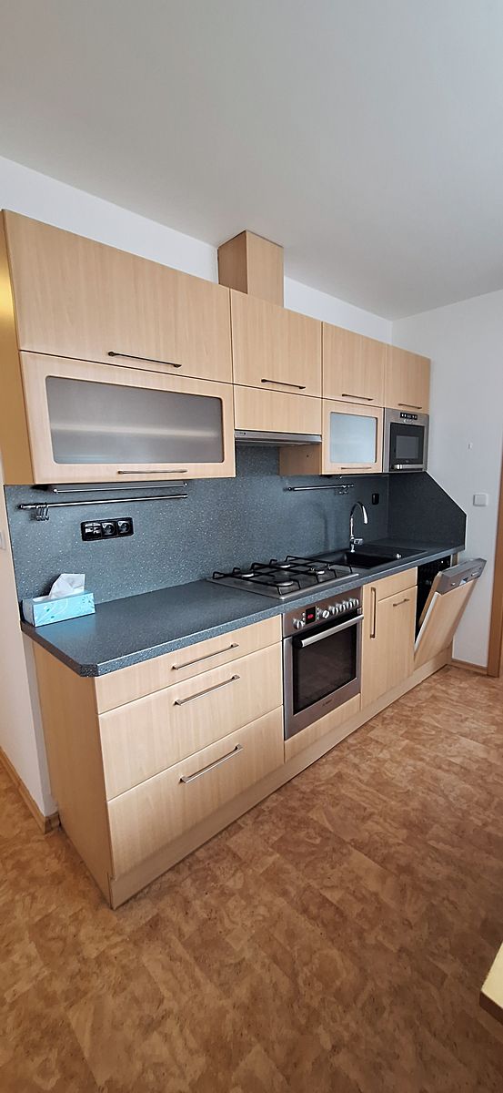 Pronájem bytu 3+1 76 m²
