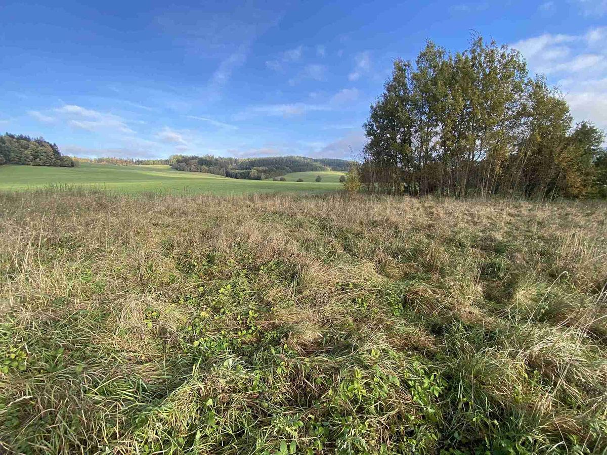 Prodej stavebního pozemku 3207 m² – fotografie 2