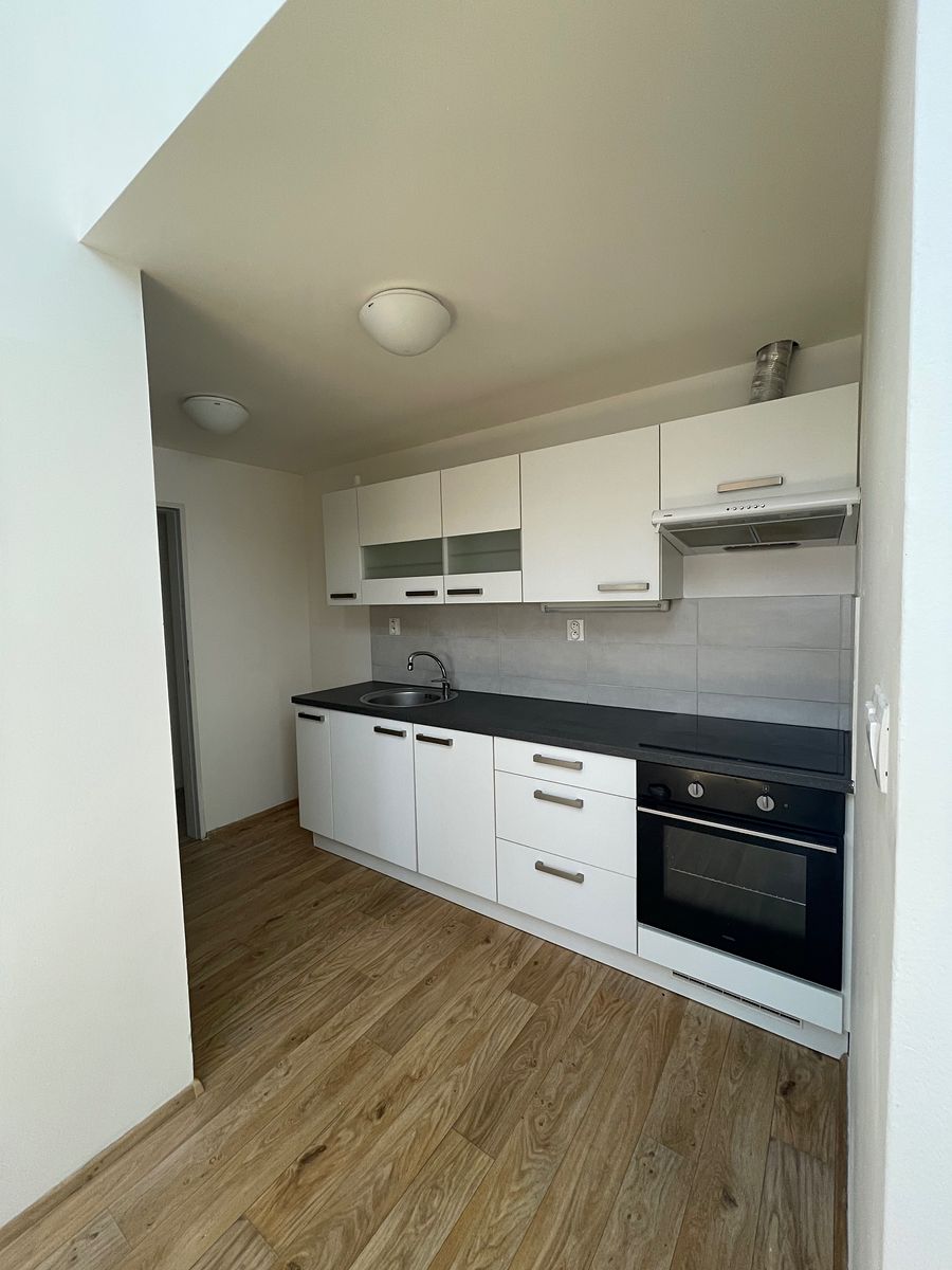 Pronájem bytu 3+kk 90 m² – fotografie 3