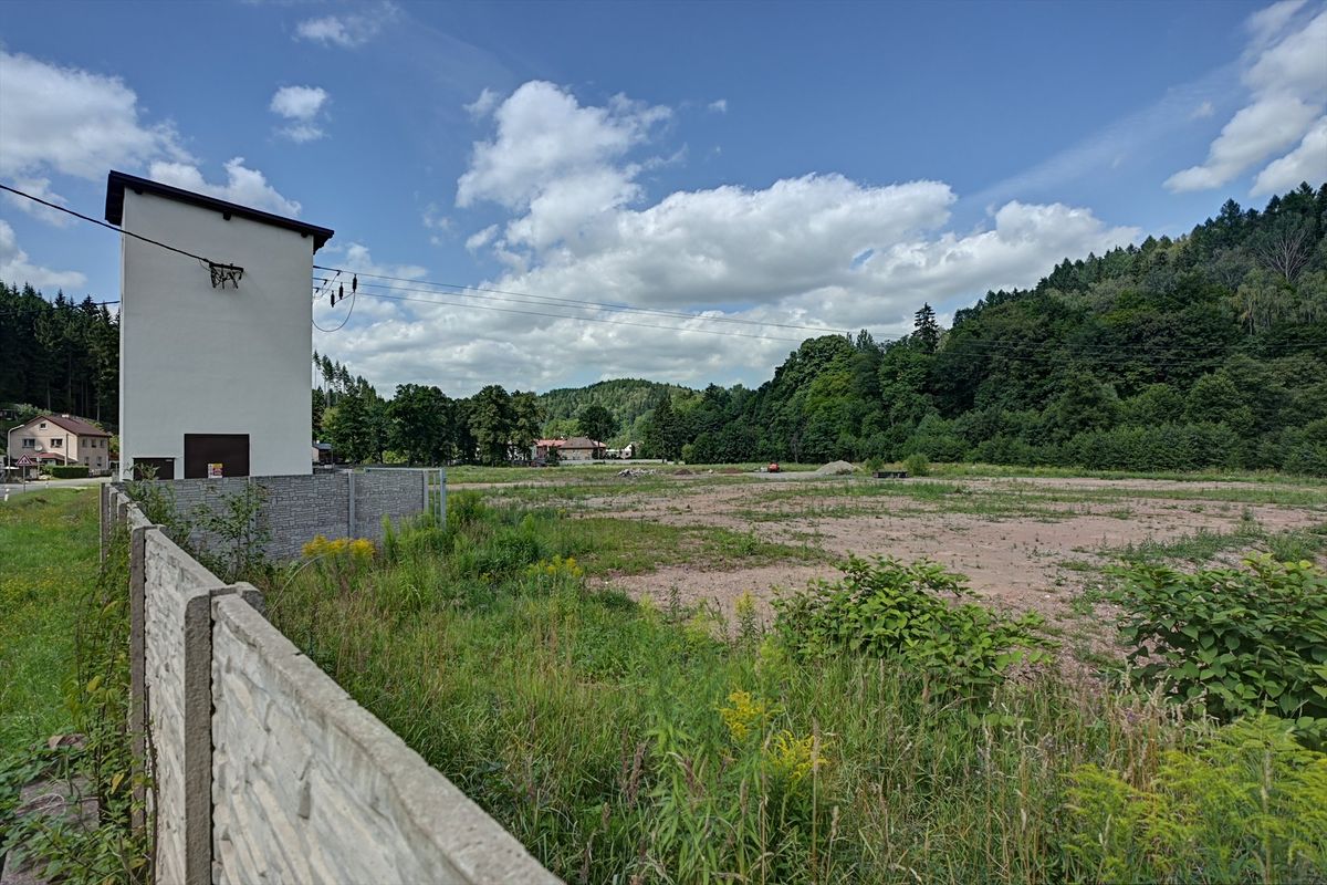 Pronájem komerčního pozemku 5000 m² – fotografie 2