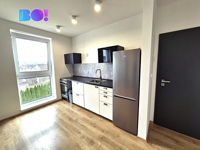 Квартира 1+kk в оренду, 33 м² (3 з 10)