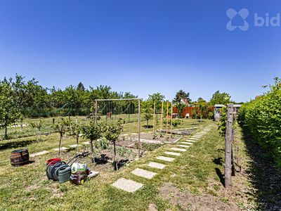 Prodej zahrady 422 m²
