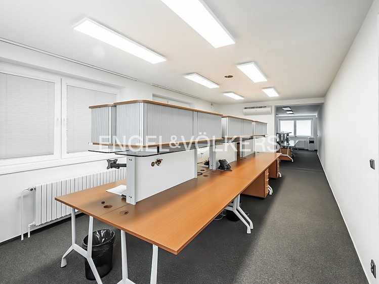 Gewerbefläche zur Miete, 700 m² (4 von 17)