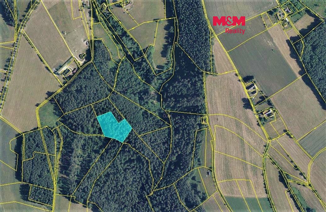Prodej lesa 6422 m²