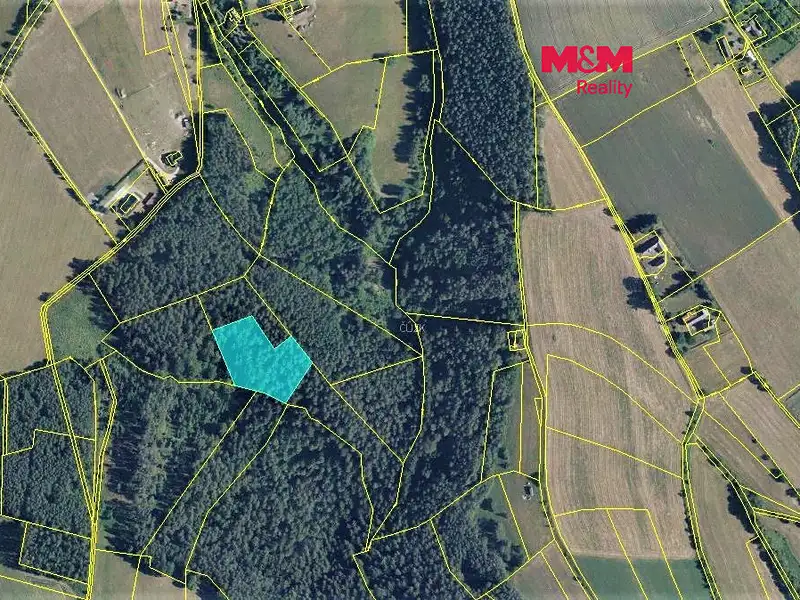 Prodej lesa 6422 m², Všelibice – náhled fotky 1