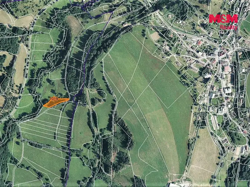 Prodej louky 2455 m², Bernartice – náhled fotky 3