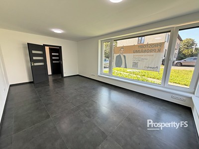 Pronájem specifického typu nemovitosti 54 m²