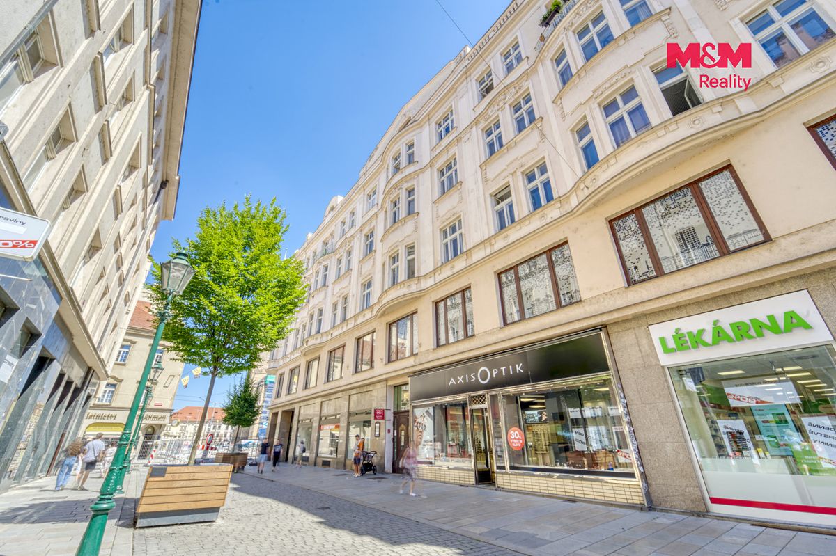 Pronájem bytu 4+1 160 m² – fotografie 3