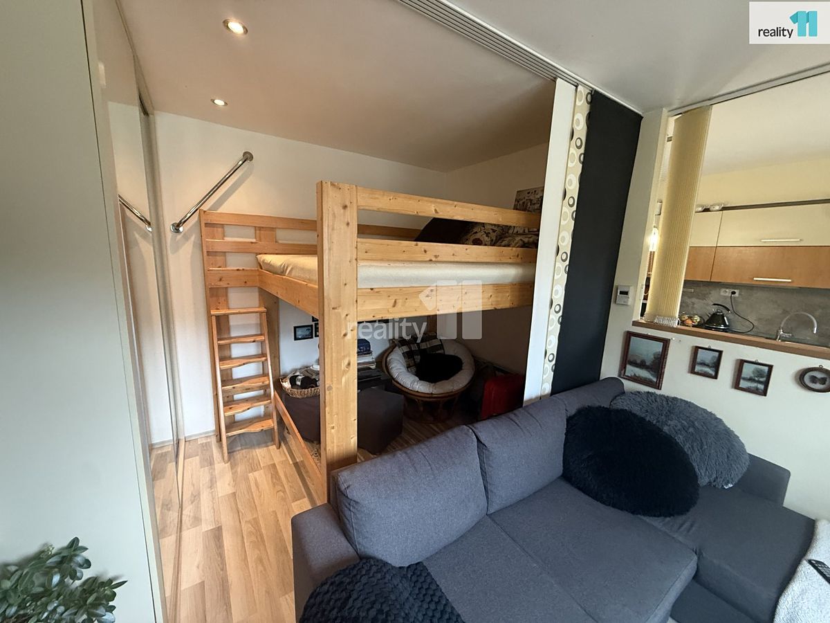 Pronájem bytu 1+kk 33 m² – fotografie 2