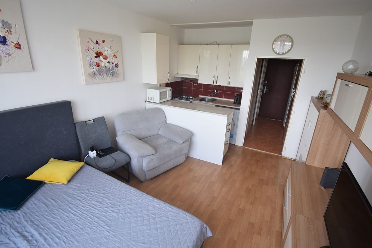 Prodej bytu 1+kk 24 m² – fotografie 3