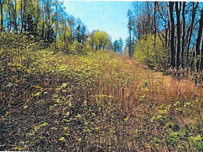 Prodej lesa 2840 m²