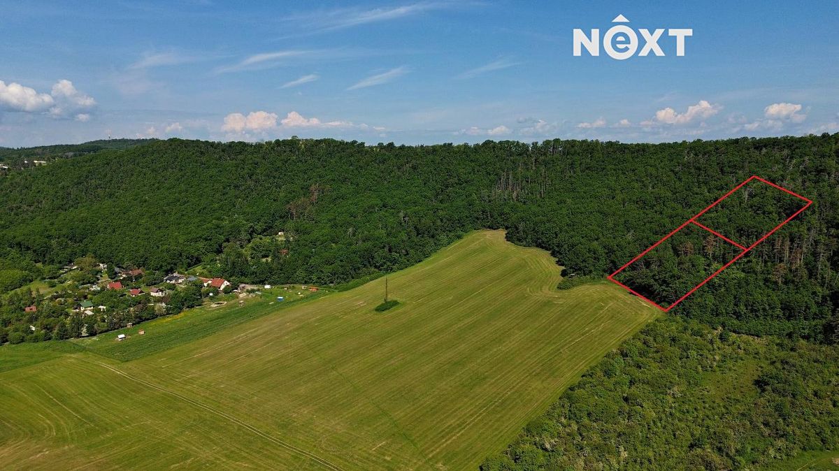 Prodej lesa 3149 m² – fotografie 5