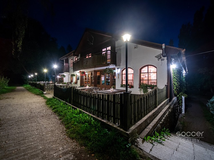 Будинок на продаж, 1 150 м² (9 з 28)