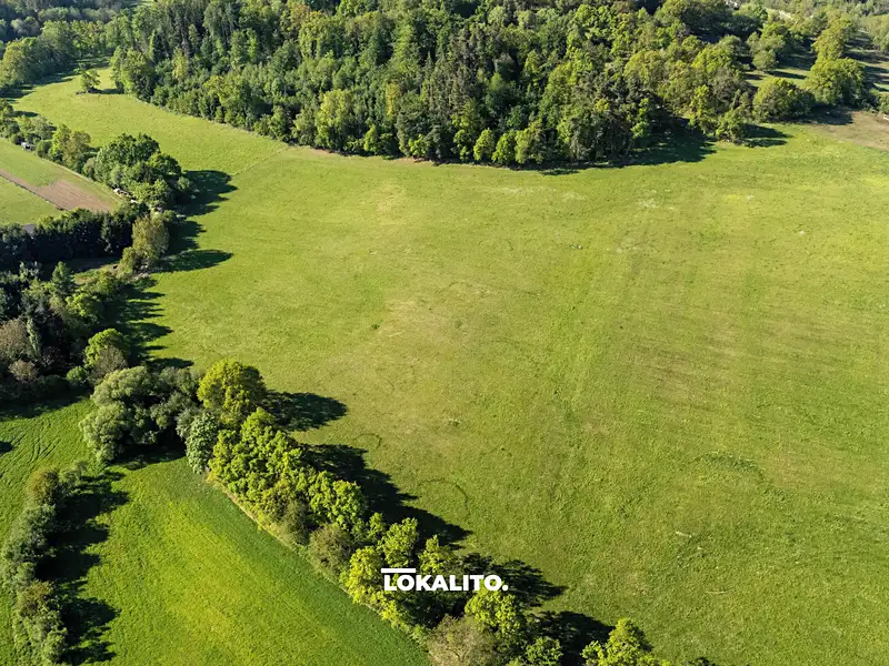 Prodej komerčního pozemku 18653 m², Nechvalice – náhled fotky 1