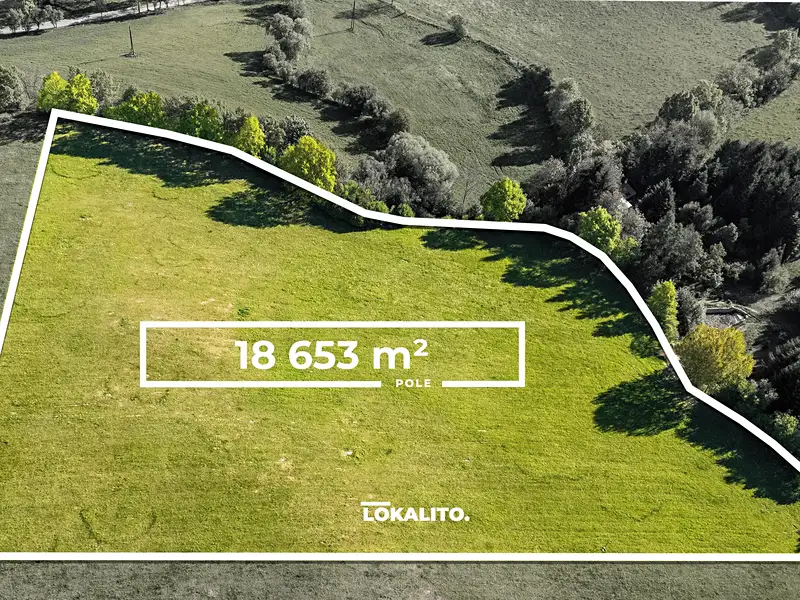 Prodej komerčního pozemku 18653 m², Nechvalice – náhled fotky 2