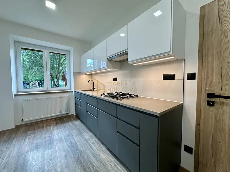 Pronájem, Byt, 1+1, 46 m²