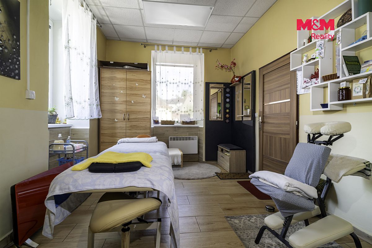 Prodej rodinného domu 380 m², pozemek 254 m² – fotografie 3