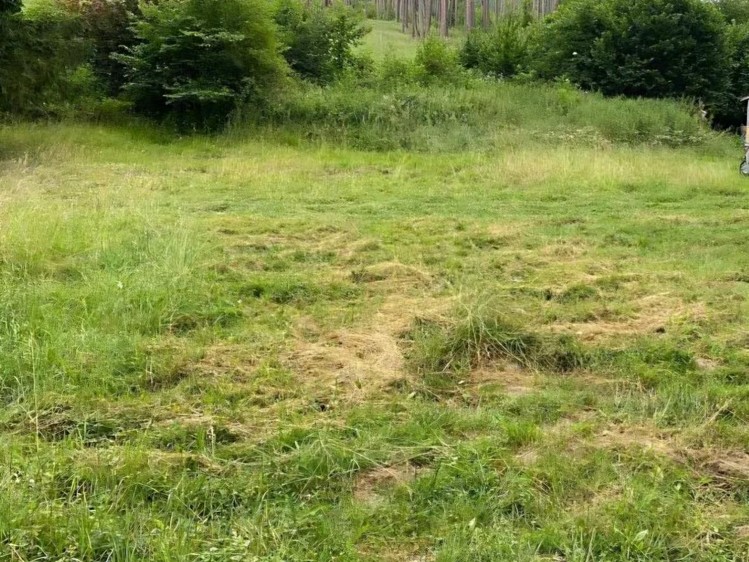Grundstück zum Kauf, 1.037 m² (4 von 4)