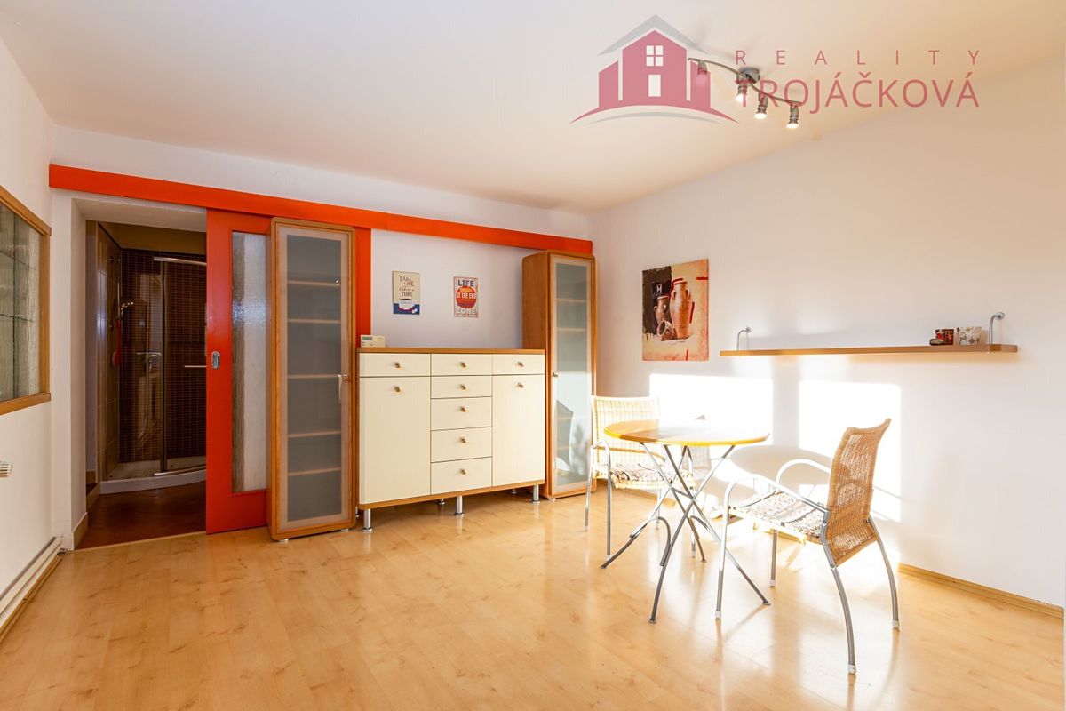 Prodej rodinného domu 260 m², pozemek 488 m² – fotografie 4